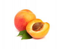 apricot1