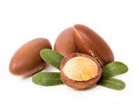 argan-seed