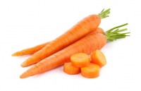 carrot