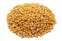 photodune-7077442-mustard-seeds-xs